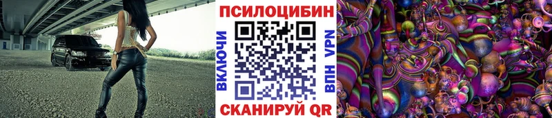 МЕГА сайт  Ростов-на-Дону  Псилоцибиновые грибы Psilocybine cubensis 