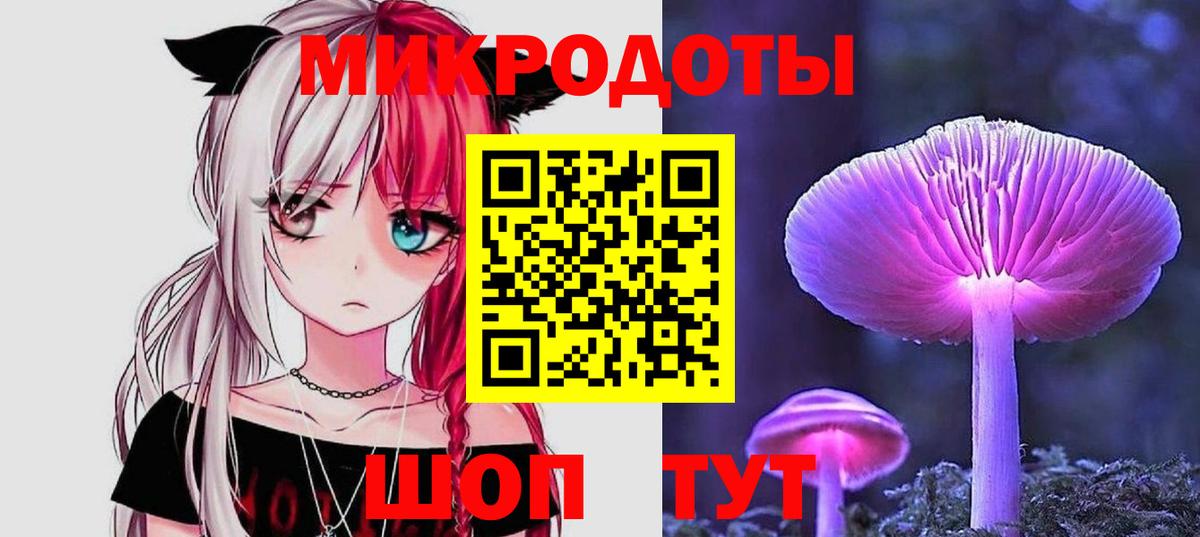 Галлюциногенные грибы прущие грибы Ростов-на-Дону