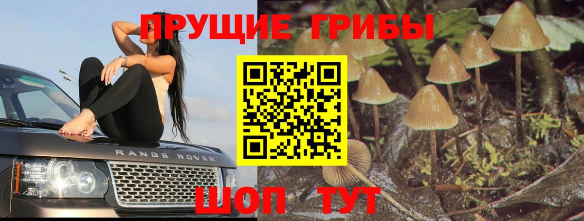 Ростов-на-Дону  Псилоцибиновые грибы мицелий  Вход с VPN 